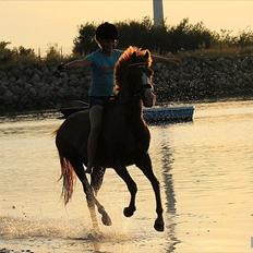 Palomino Tequila <3      *B-pony*