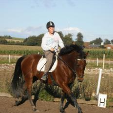 Pinto Elkær's Tidy<3