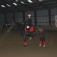 Anden særlig race William