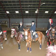 Anden særlig race William