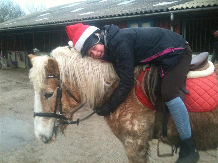 Haflinger Tulle [Solgt] - det er ikke andet at sige en jeg elsker dig <3 
-en dejlig jule tur på en dejlig pony <3

*Juleferie 2011-2012 billede 8