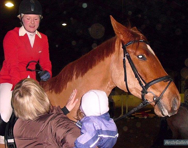 Dansk Varmblod Cuzco (Røde) - Mig og Røde plus fans <3 billede 7