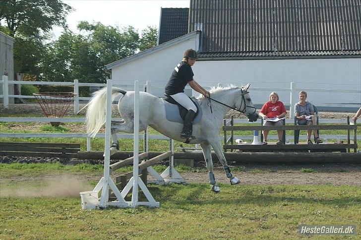 Anden særlig race Flash Lightness billede 14