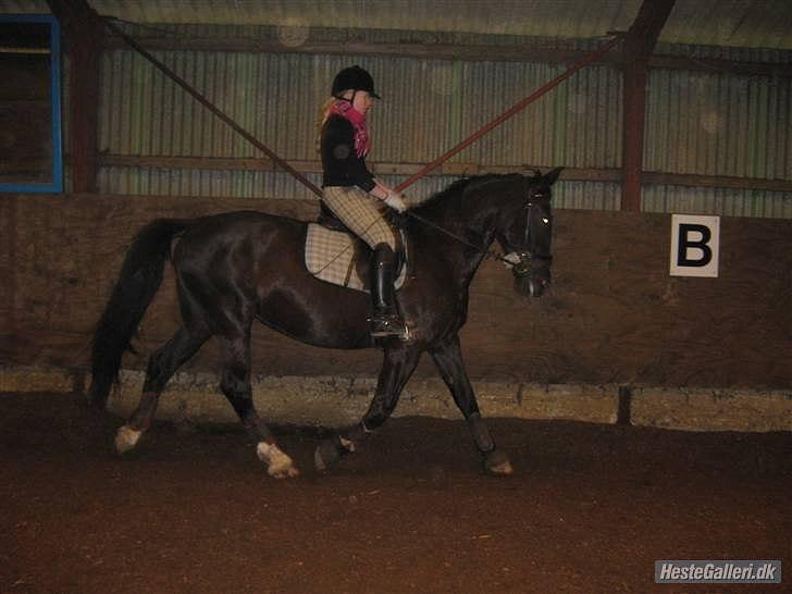 Oldenborg Tøsen - Foto Caya billede 17