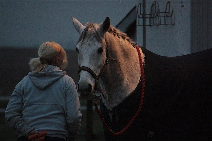 Anden særlig race Flash Lightness billede 18