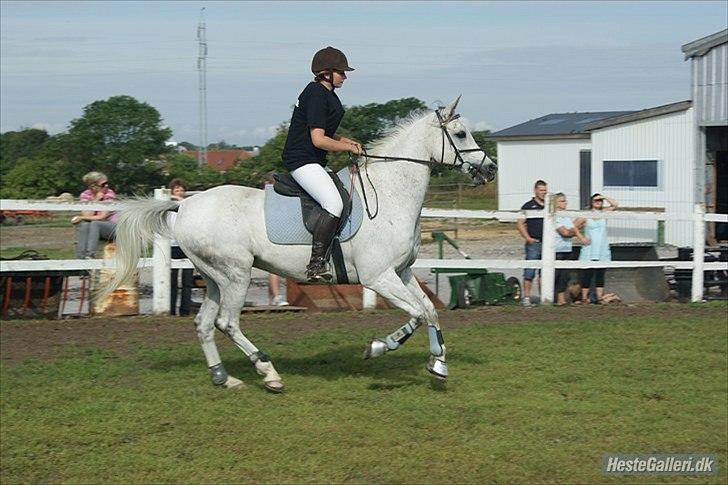 Anden særlig race Flash Lightness billede 19