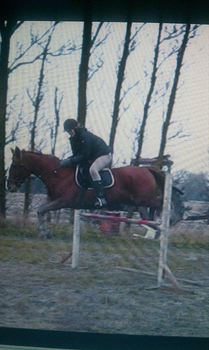 Frederiksborg Ferdinand billede 17