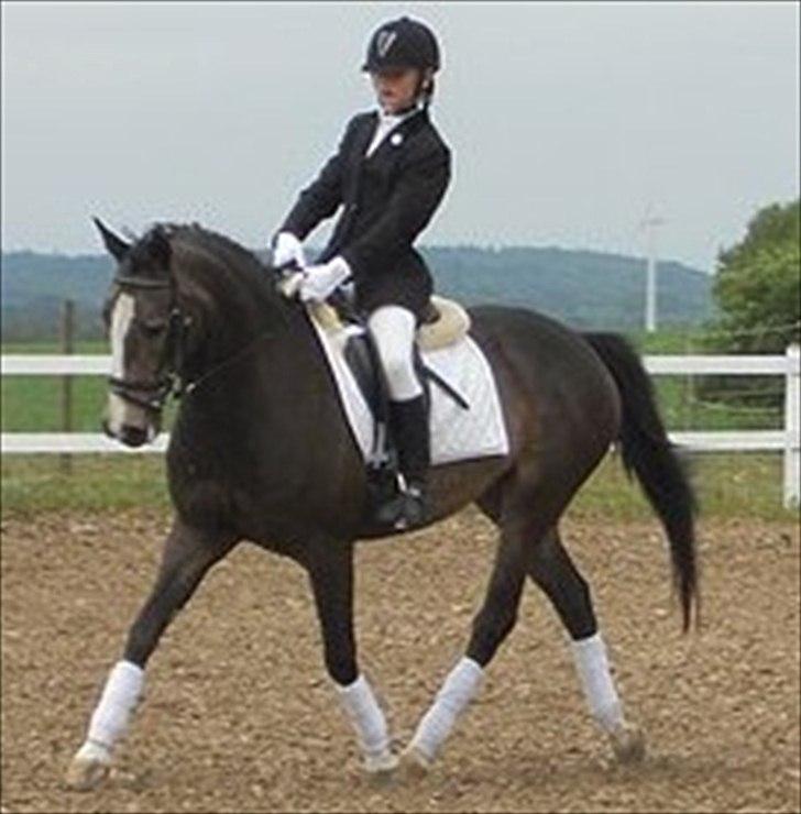 Anden særlig race Hera - Følle & jeg til dressurstævne i Jelling.♥ 
 billede 10