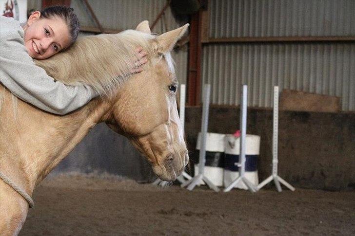 Palomino Cibelle  - bidløst.. you rock my world girl billede 10