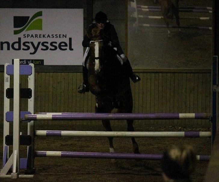 Dansk Varmblod Atlet - HJR ULB billede 13