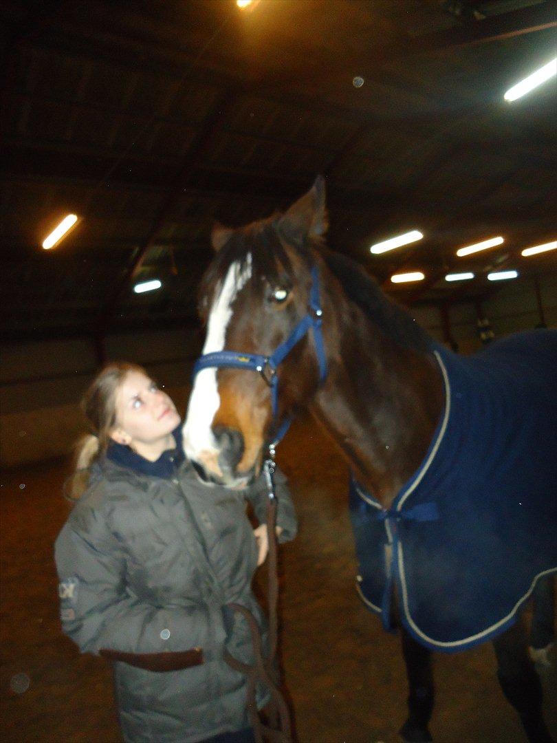 Dansk Varmblod Chivas-L *tidligere hest* - Chivas og mig. billede 4