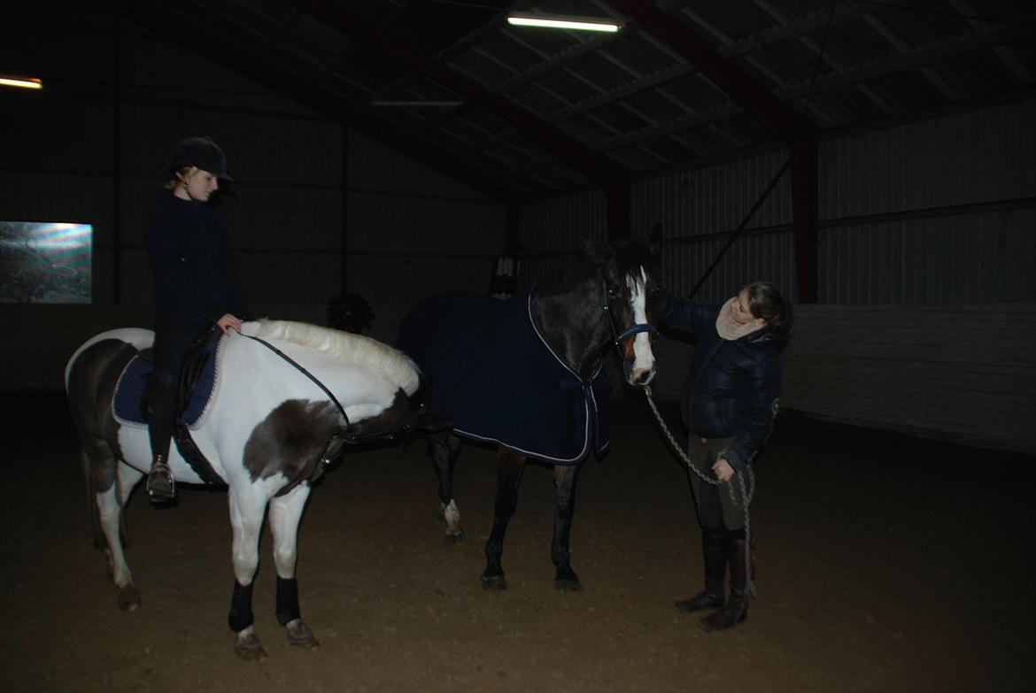 Dansk Varmblod Chivas-L *tidligere hest* - kiowa og Chivas <3 billede 7