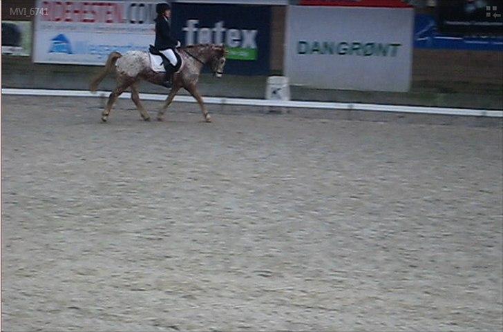 Anden særlig race Jolly Jumper - Igen Jolly og jeg i en LC1 - Billedet er taget ud af en video! billede 16