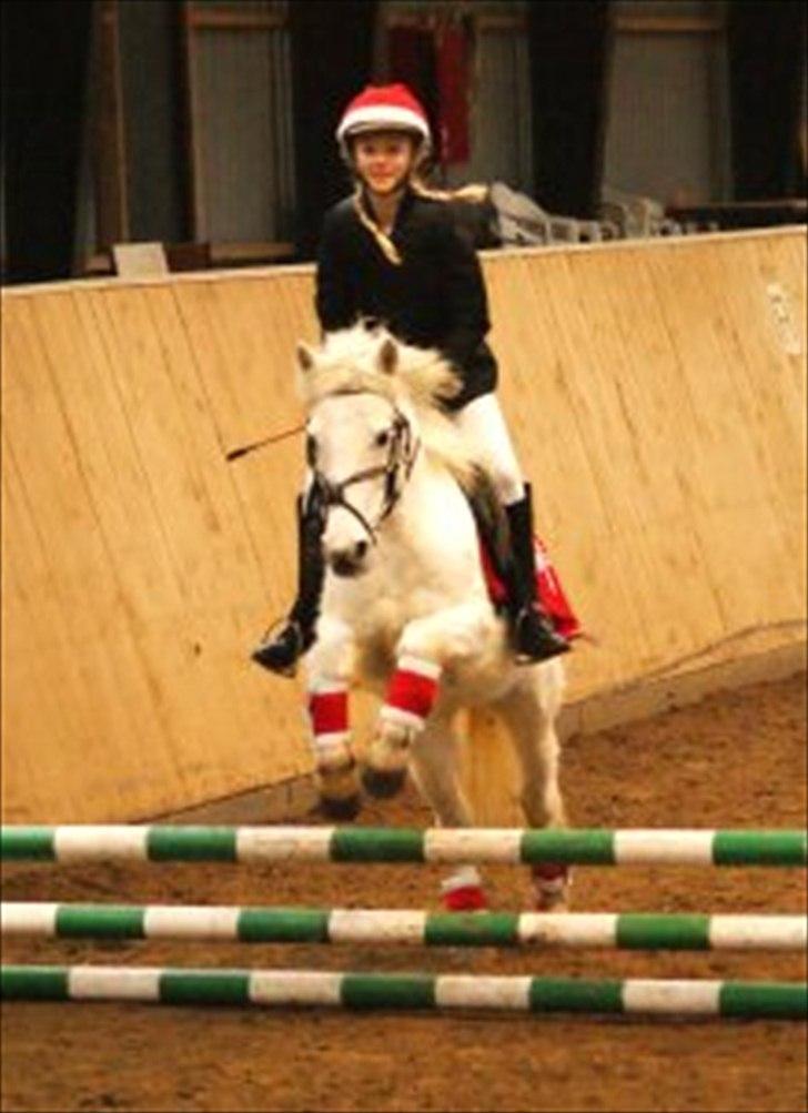 Anden særlig race Truska - Billedet er taget af sabine mange tak<33 billede 7