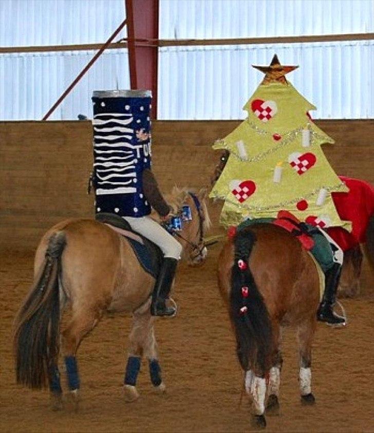 Anden særlig race Princess R.I.P †SOULMATE† - Princess, jeg, Bailey & Michala <3 <3 Et stævne jeg aldrig vil glemme! ..  billede 5