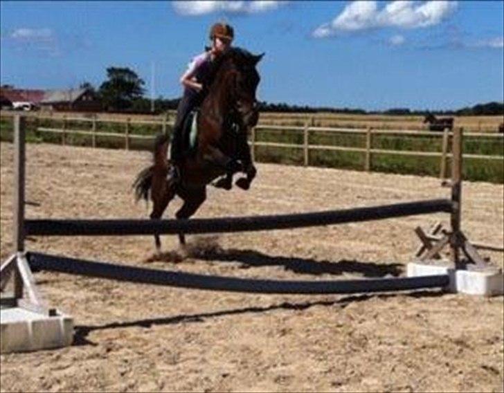 Anden særlig race Anja billede 2