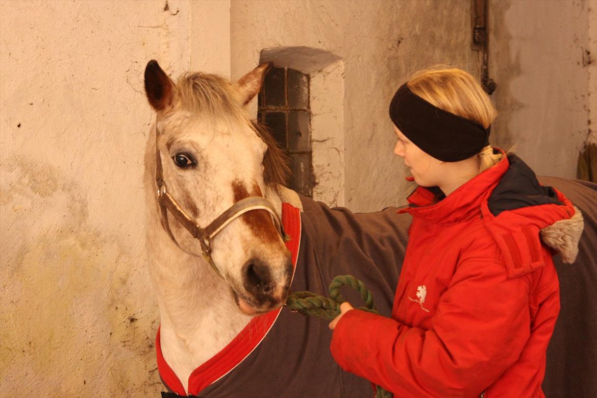 Anden særlig race SKOVGÅRDENS SHARNIE<3 -ninja-gede-knirke- - 25 december 2011
Fordi vi hygger billede 15