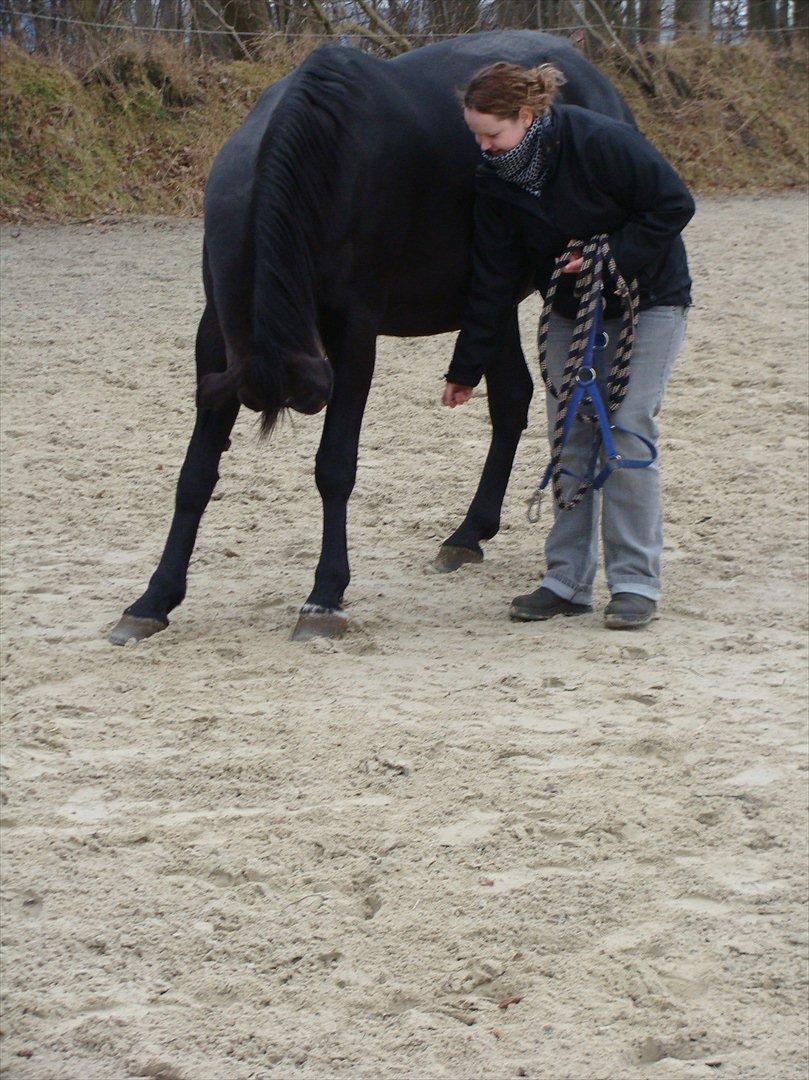 Anden særlig race bianca (R.I.P. I Love Y) - Træner lige lidt rygmuskler. billede 11