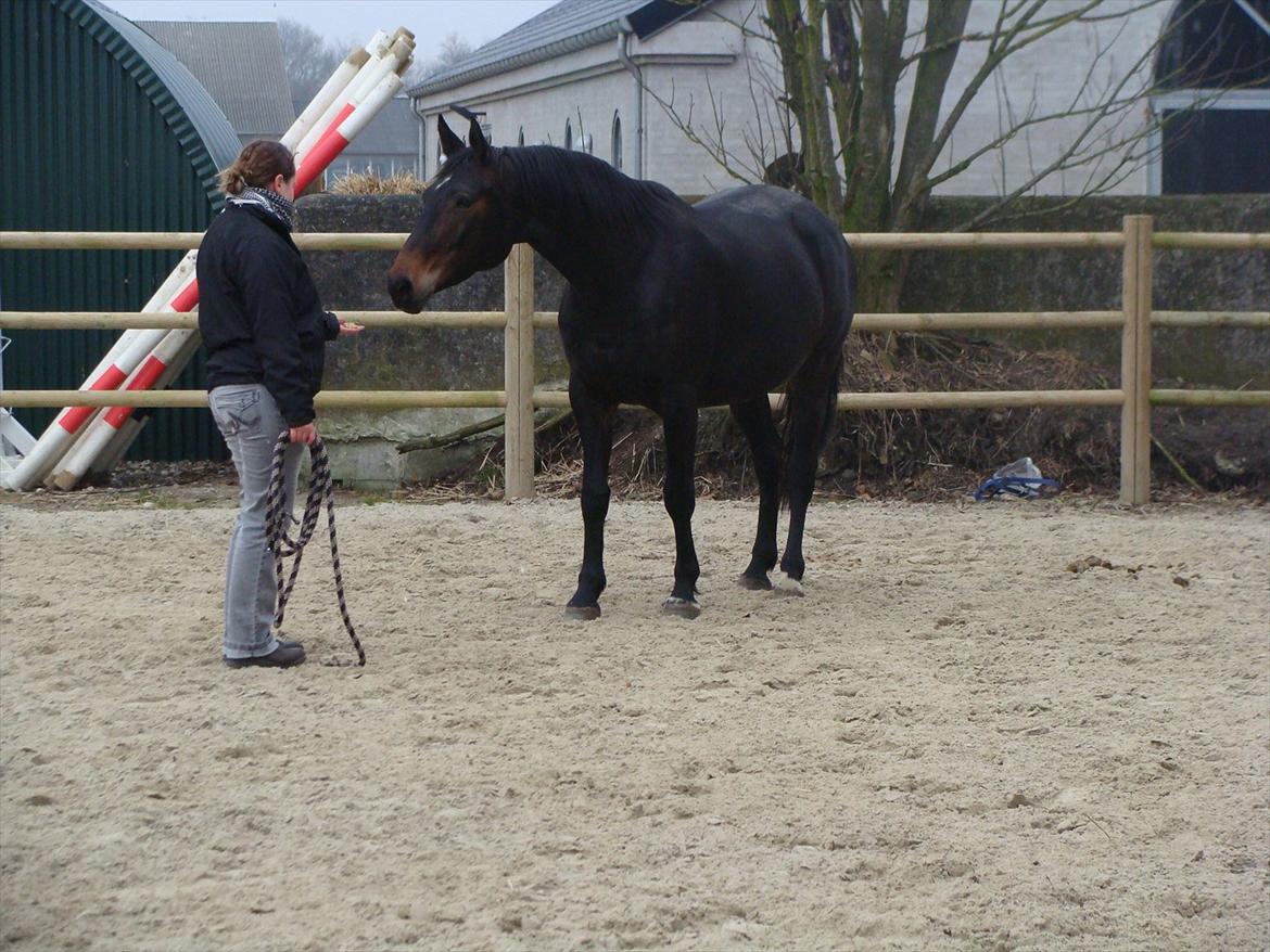 Anden særlig race bianca (R.I.P. I Love Y) billede 13