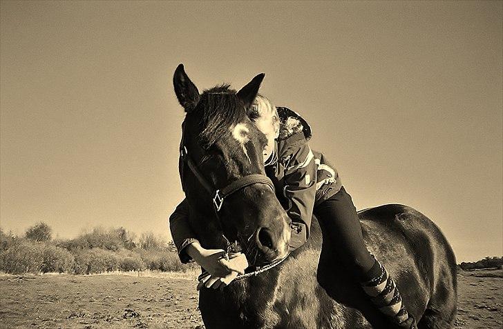 New Forest alymet - du er viklig skøn elsker dig billede 1