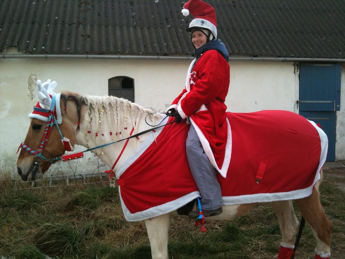 Anden særlig race Victoria <3 R.I.P <3 :'( Savner dig :'( <3 - Juleshow på Blis 2011 :D billede 17