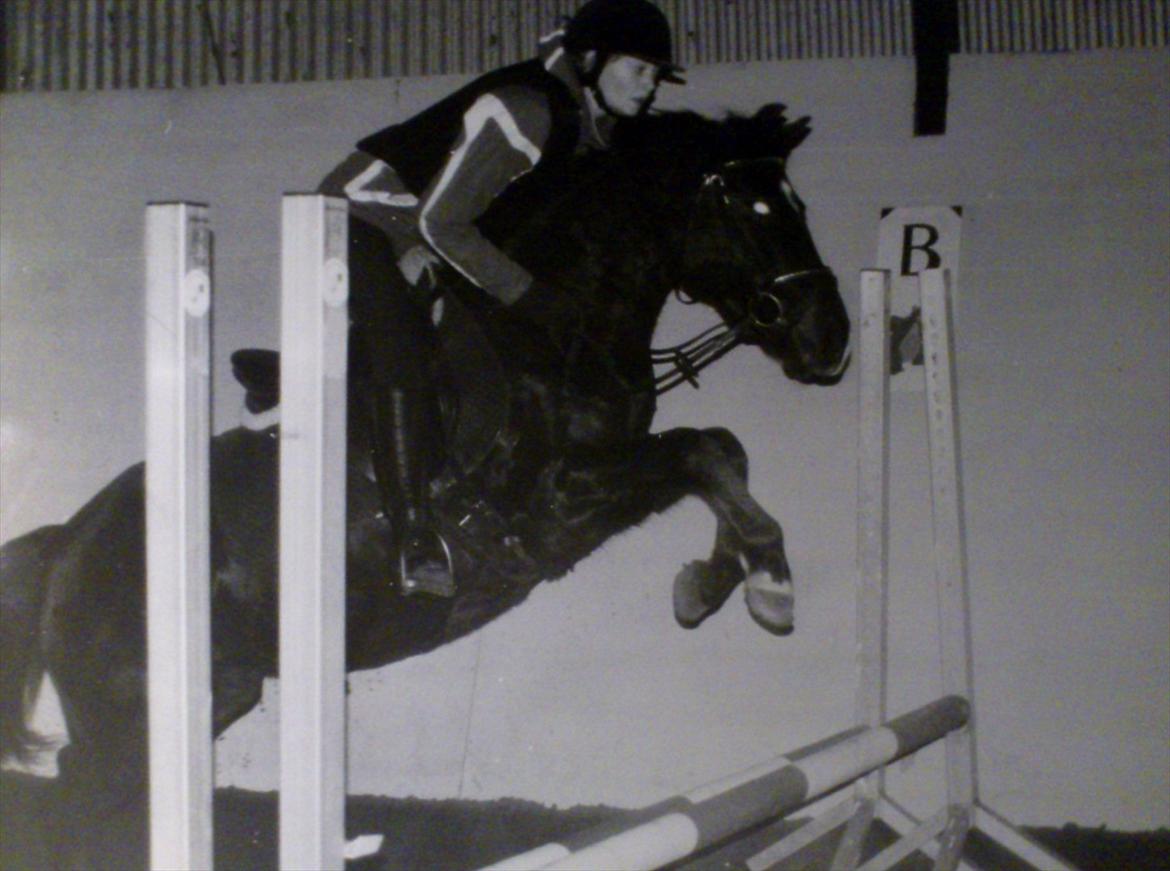 New Forest alymet - til spring det er ikke så højt men vi kan lære noget af det billede 14