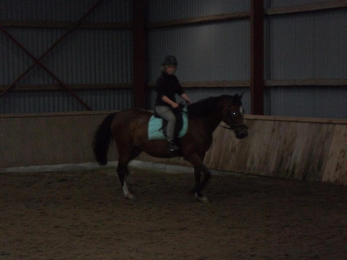 Anden særlig race Peggy billede 1