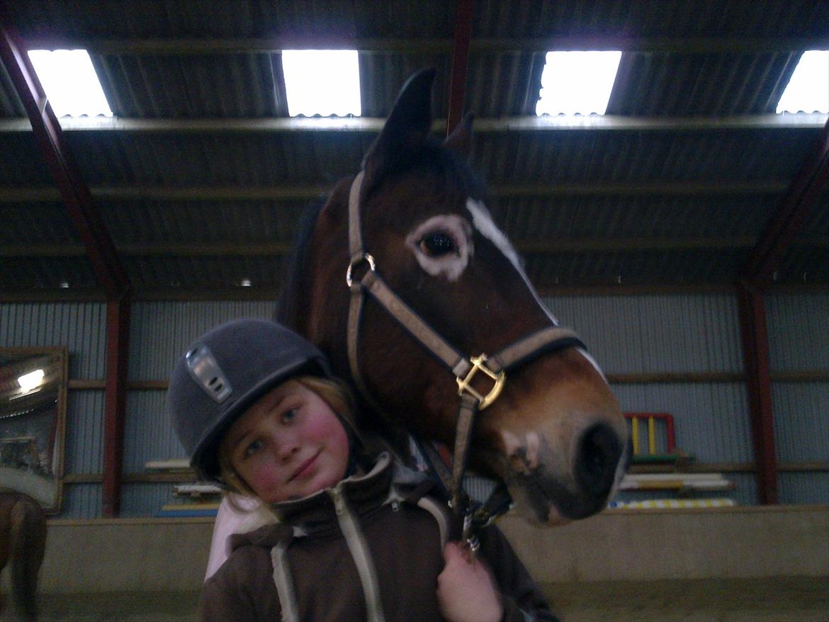 Anden særlig race Peggy billede 3