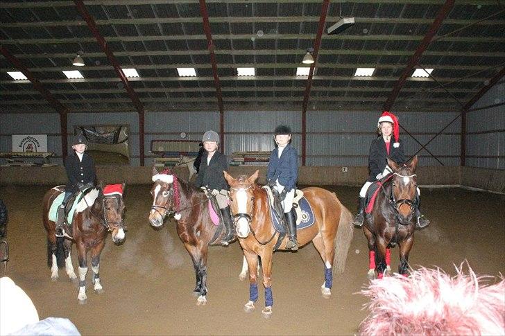 Anden særlig race Peggy billede 5