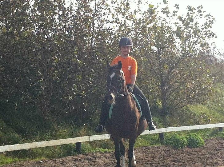 Anden særlig race Peggy billede 6