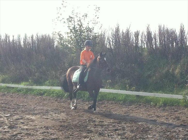 Anden særlig race Peggy billede 7