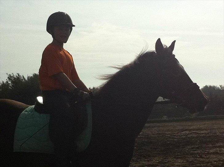 Anden særlig race Peggy billede 8