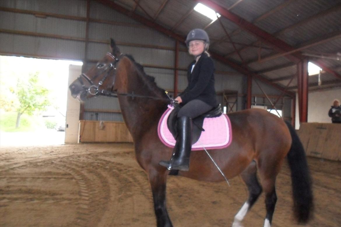 Anden særlig race Peggy billede 10