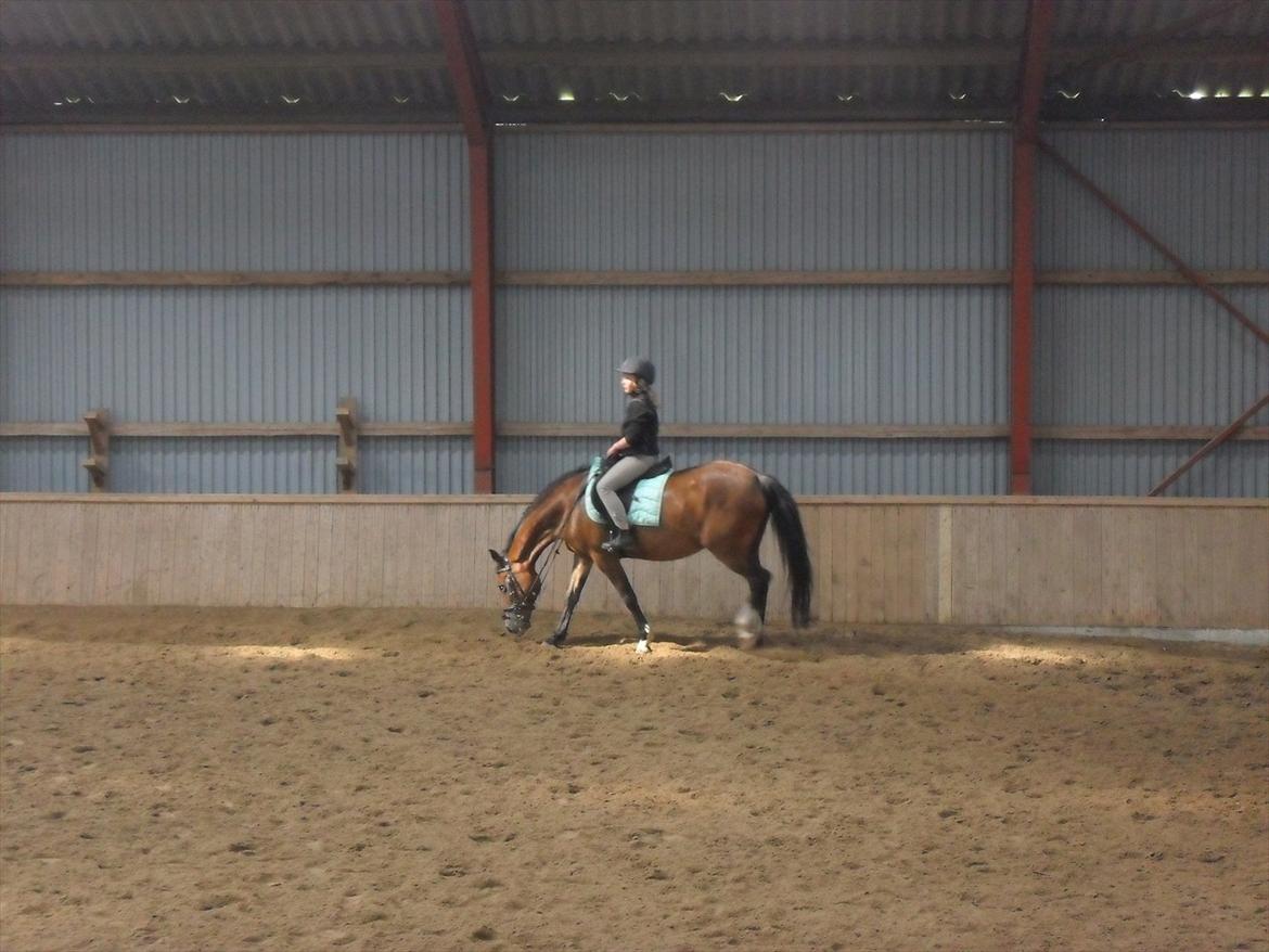 Anden særlig race Peggy billede 11