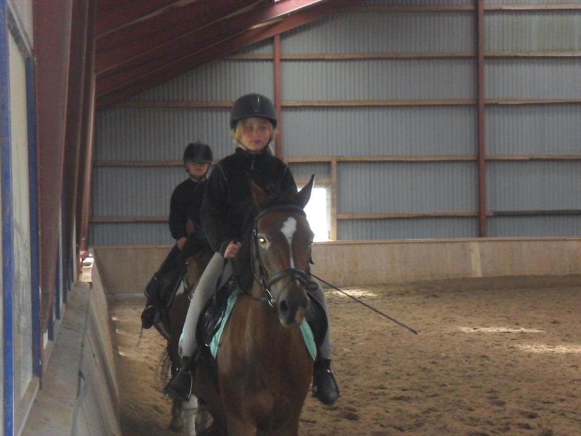 Anden særlig race Peggy billede 13