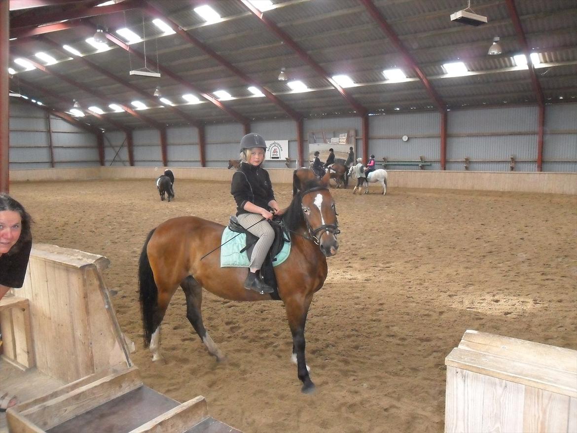 Anden særlig race Peggy billede 14