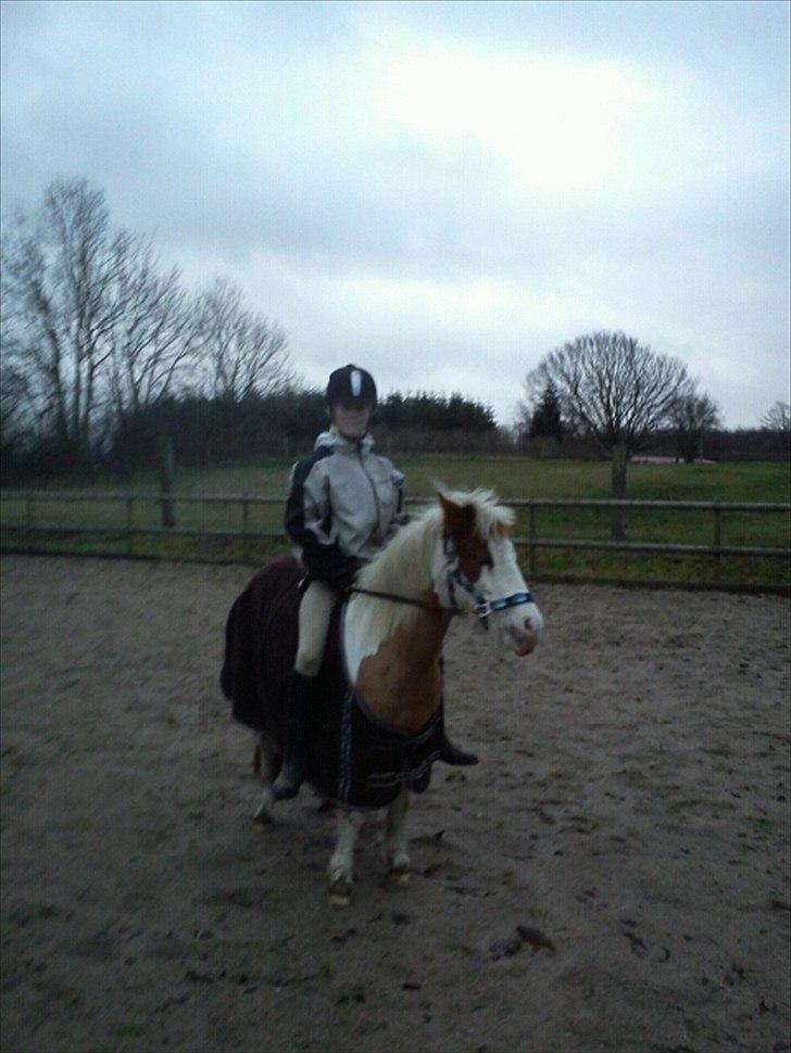 Anden særlig race Tulle <3   billede 10