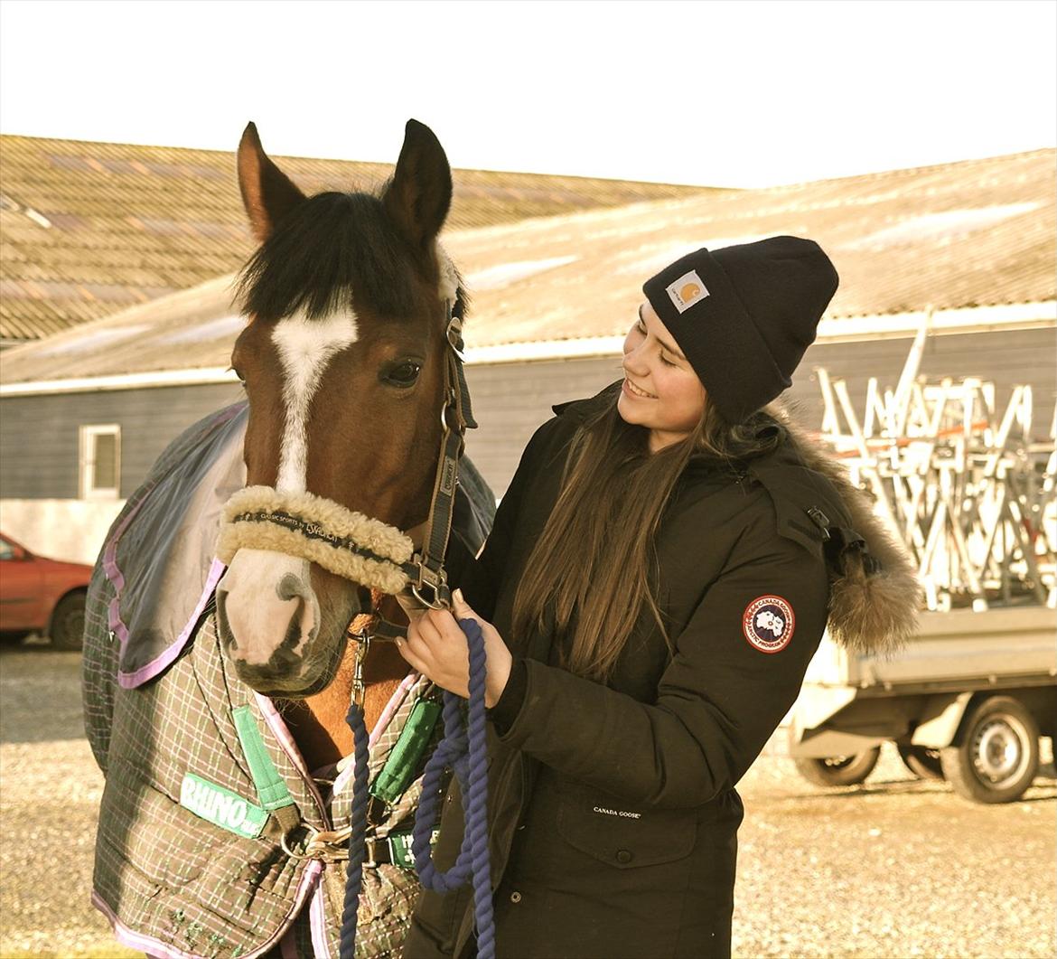 Anden særlig race Casco - Baby, you light up my world like nobody else <3
www.youtube.com/stephanievollquartz billede 17