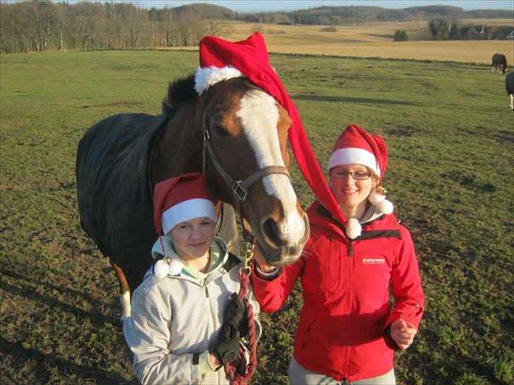 Oldenborg Buddy?Himmelhest-RIP! - julen 2011(-: billede 17