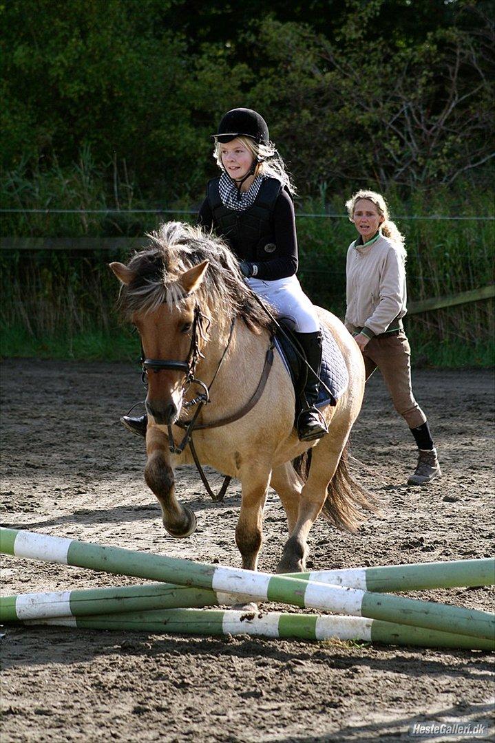 Fjordhest Frodo - Frodo og jeg til vores første springstævne:)

Tak fordi du kiggede forbi Frodos profil:D
Læg gerne en kommentar og en bedømmelse:D
Hejhej!:D billede 20