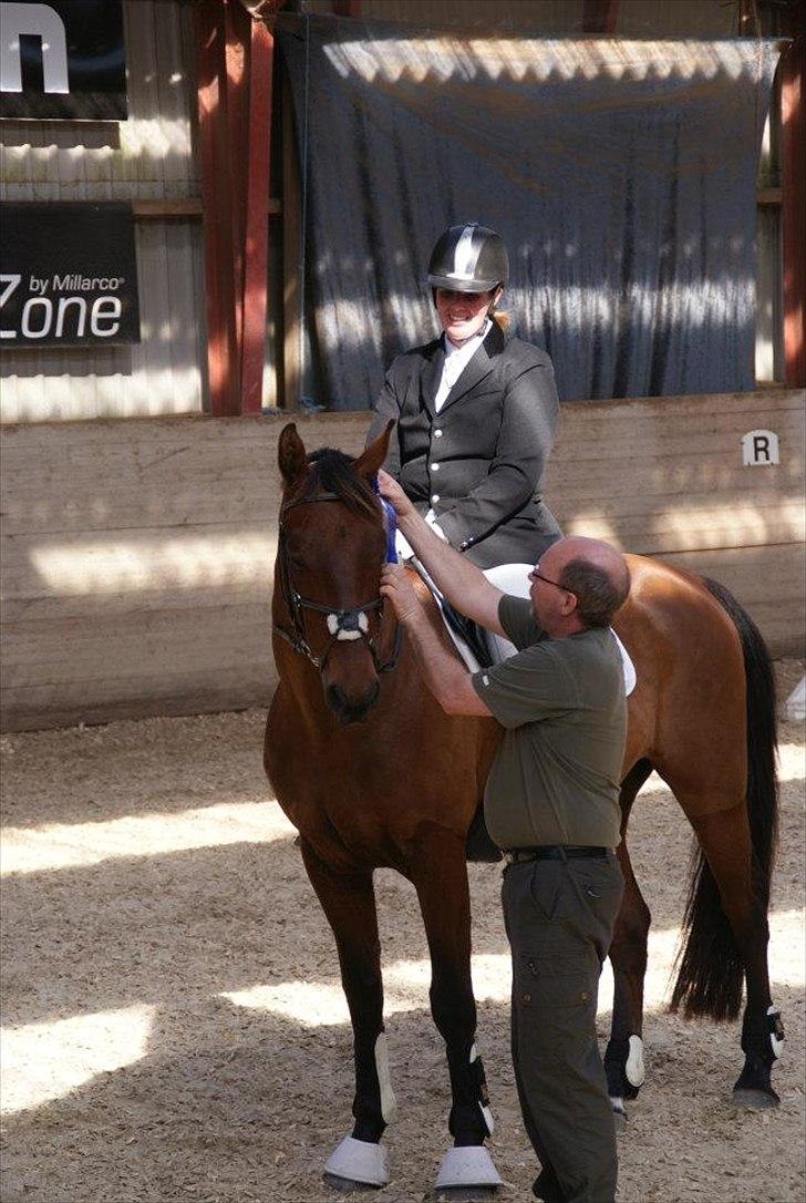 Pinto Elkær's Tidy<3 - Tidy og ejer Charlene til stævne!<3 billede 6