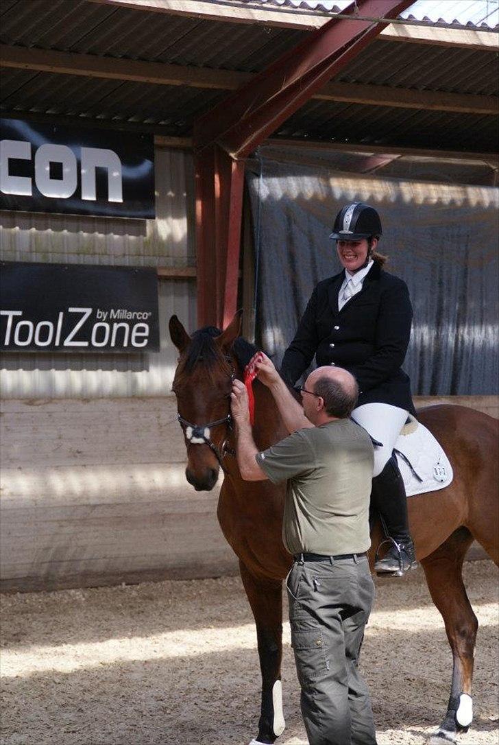 Pinto Elkær's Tidy<3 - førsteplads!<3 billede 7