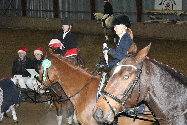 Anden særlig race William - william til stævne hvor vi fik en anden plas billede 1