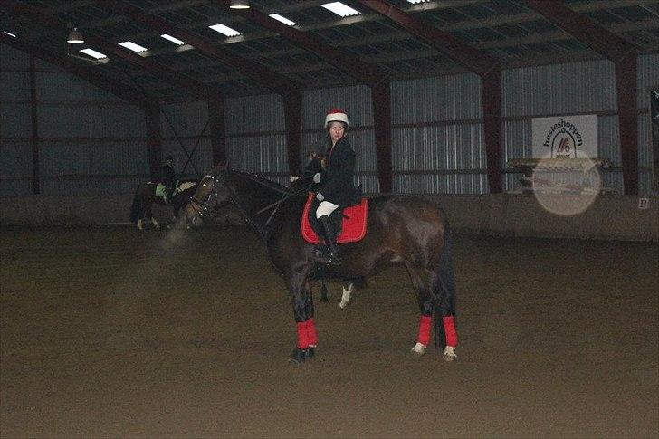 Anden særlig race William - jeg rider ikke kyn med børn jeg rider også med nisser billede 3