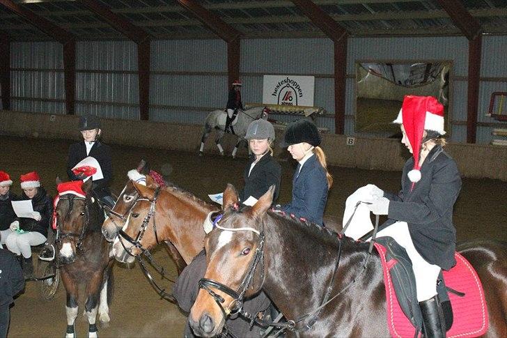 Anden særlig race William billede 4