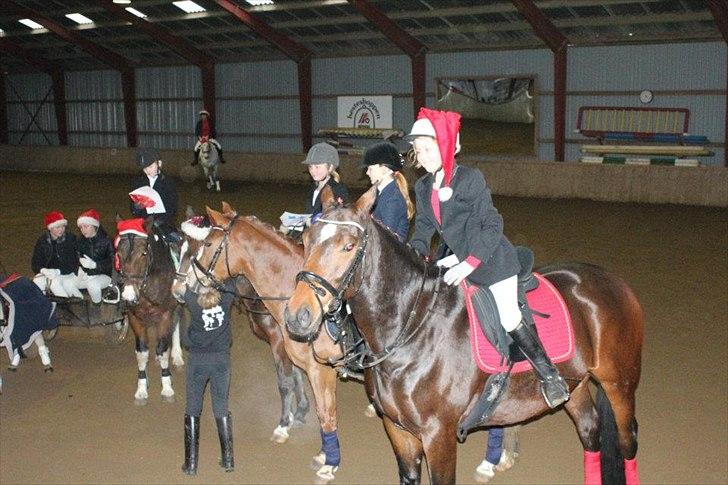 Anden særlig race William billede 6