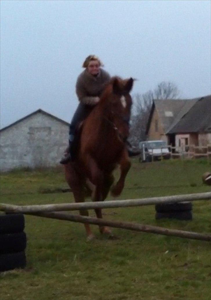 Anden særlig race Nikita - nr 16 jaaa spring min tøz jeg ved du elsker det <3 billede 11