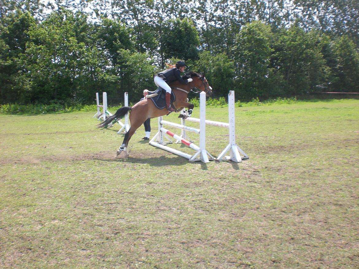 DSP Pilot af Idskov - opvarmning i højris billede 4