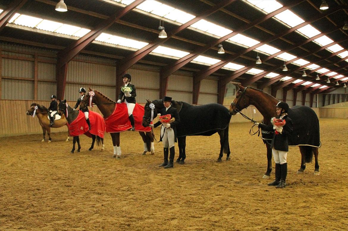 Holstener Life Star - 3. plads til klubmesterskab.  billede 14