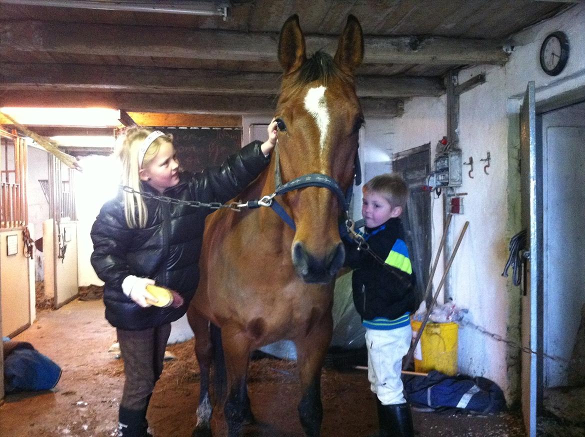 Anden særlig race Sunny -min solstråle<3 - marcus og julie hygger om sunny :) billede 5